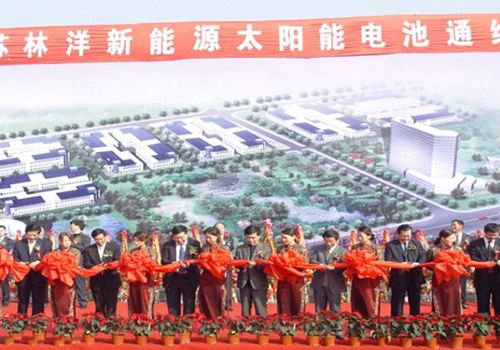 江蘇林洋新能源有限公司成立，10月，第一條太陽能電池線投產(chǎn)運(yùn)行